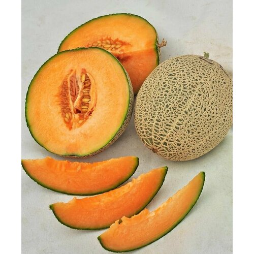 ���������� ������������� ������ ���� F1 ������� ������