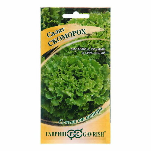 ���������� ������ ����� 