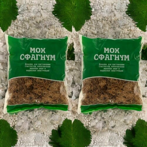 ���������� ��� ������� 1� / 2�� ��� ��������. �������������