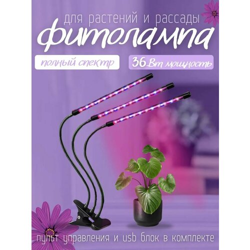 ���������� ��������� ��� �������� 3 �����