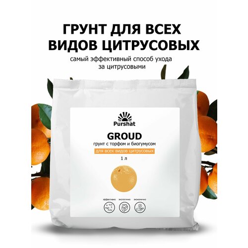 ���������� ����� (�����) ��� ���������� (�����, ��������, �������) ������. ����������� ���������� � ������ � ���������� (Purshat) 1 �