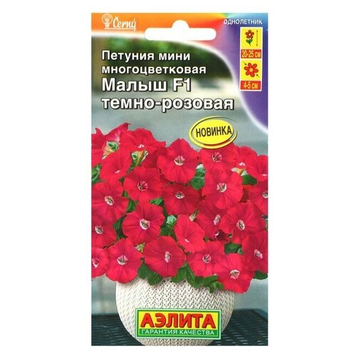 ���������� ������ ������� ���� ����� F1 �����-������� ��������������, 7 ��