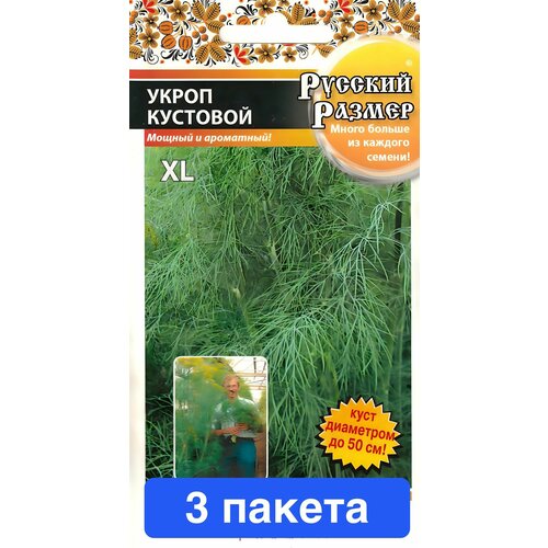 ���������� ������ ������ � ��������� ������� ������ 