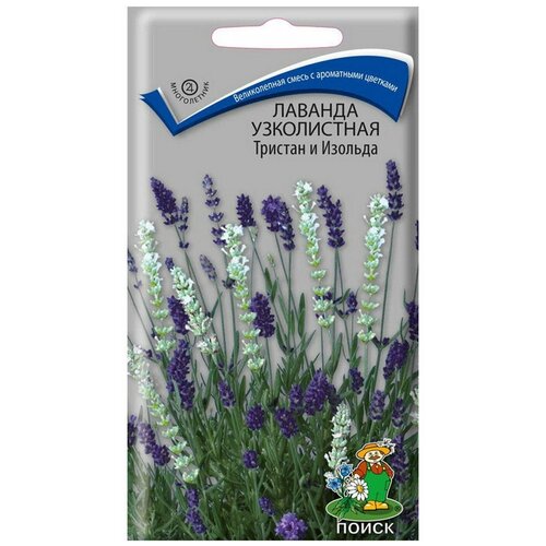 ���������� ������ ����� ������� ����������� ������� � ������� 10 ��.