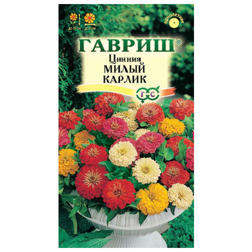 ���������� ������ ������ ������ ����� ������, ����� 0,5 �