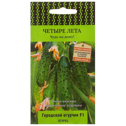 ���������� ������ ����� ������ ���� ������ ��������� ������� F1 5 ��.