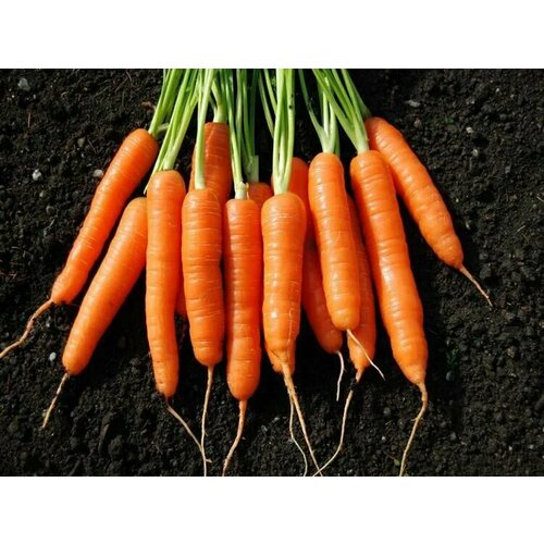 ���������� ������������� ������ ������� ������� F1