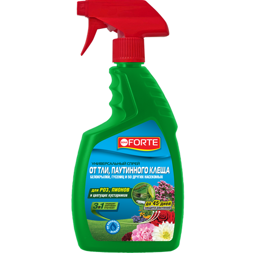 ���������� ����� Bona Forte ������ ��� � ��������� ������, 750��