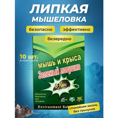 ���������� ��������� ������ ��� �����, ������� ��� ���� � �����, 10 ����